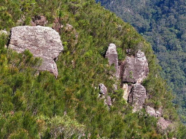 Daves Creek Track