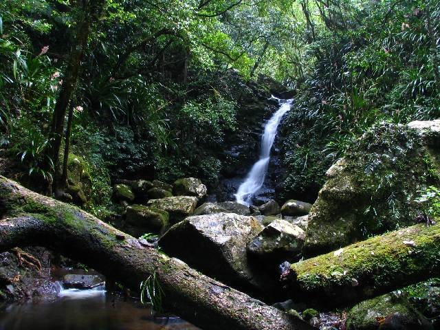 Coomera Creek Track