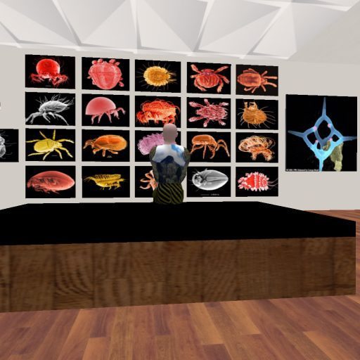 Snapshot-_-XTALENT-Digital-Art-Gallery-XTALENT-111-155-22-