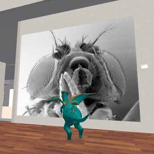 Snapshot-_-XTALENT-Digital-Art-Gallery-XTALENT-135-147-22-