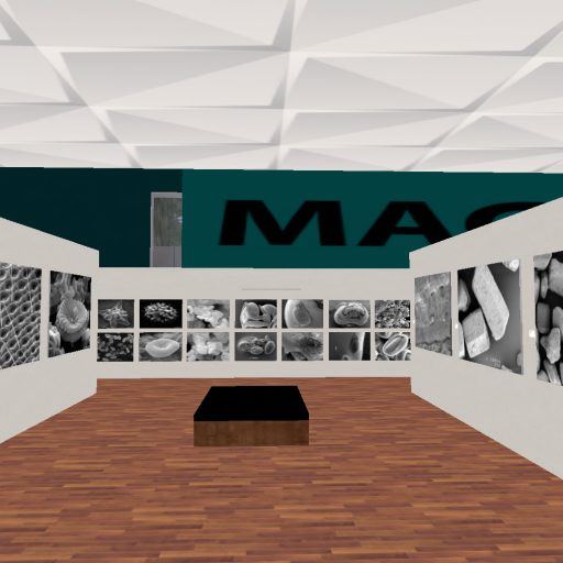 Snapshot-_-XTALENT-Digital-Art-Gallery-XTALENT-77-127-24-