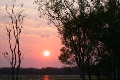 DSCN1097