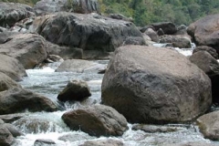 DSCN1966