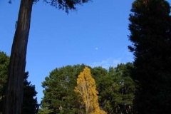 IMG_0264