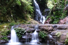 walkabout_bkg