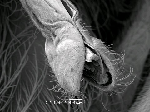 1_Image7