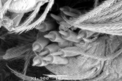 1_Image14