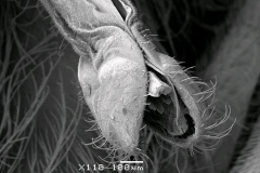 1_Image7