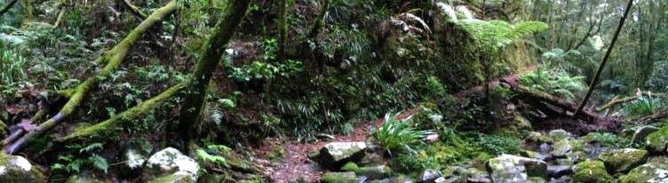 albert-river-14b