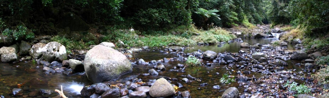 canungra-creek-18-1