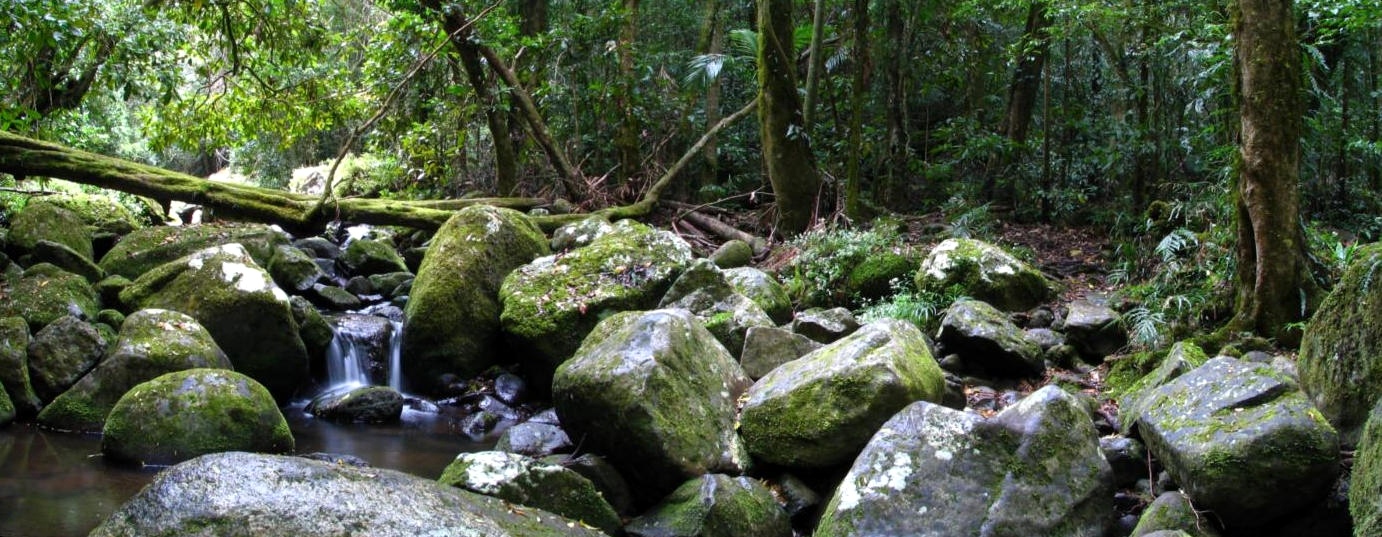 canungra-creek-36-1
