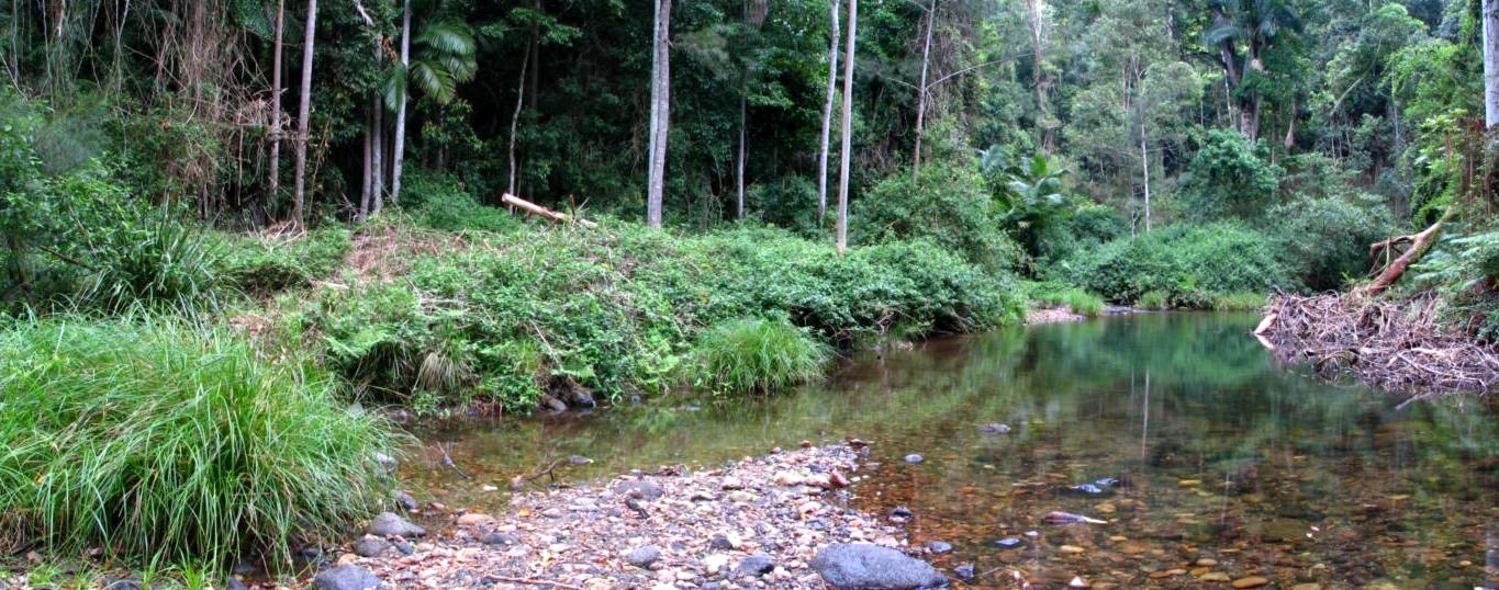 daves-creek-14-1