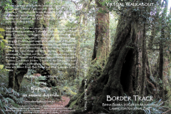 Border-Track, Lamington National Park