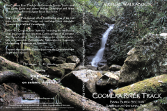 Coomera-River-Track, Lamington National Park