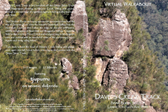 Daves-Creek-Track, Lamington National Park
