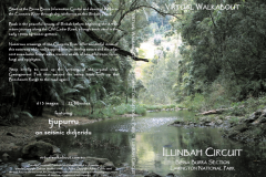 Illinbah-Circuit, Lamington National Park