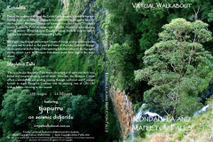 Kondalilla & Mapelton Falls National Parks