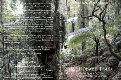 Mt-Hobwee-Track, Lamington National Park