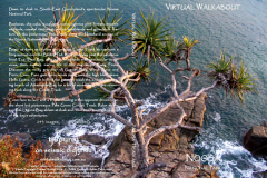 Noosa Headlands Section, Noosa National Park