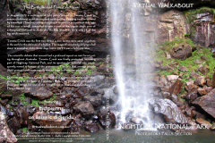 Protestors-Falls, Nightcap National Park