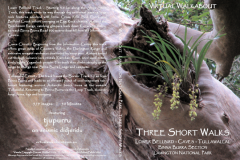 Short-Walks-Binna Burra, Lamington National Park
