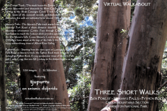 Short-Walks-Green Mountains, Lamington National Park