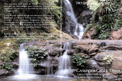 West-Canungra-Creek-Track, Lamington National Park